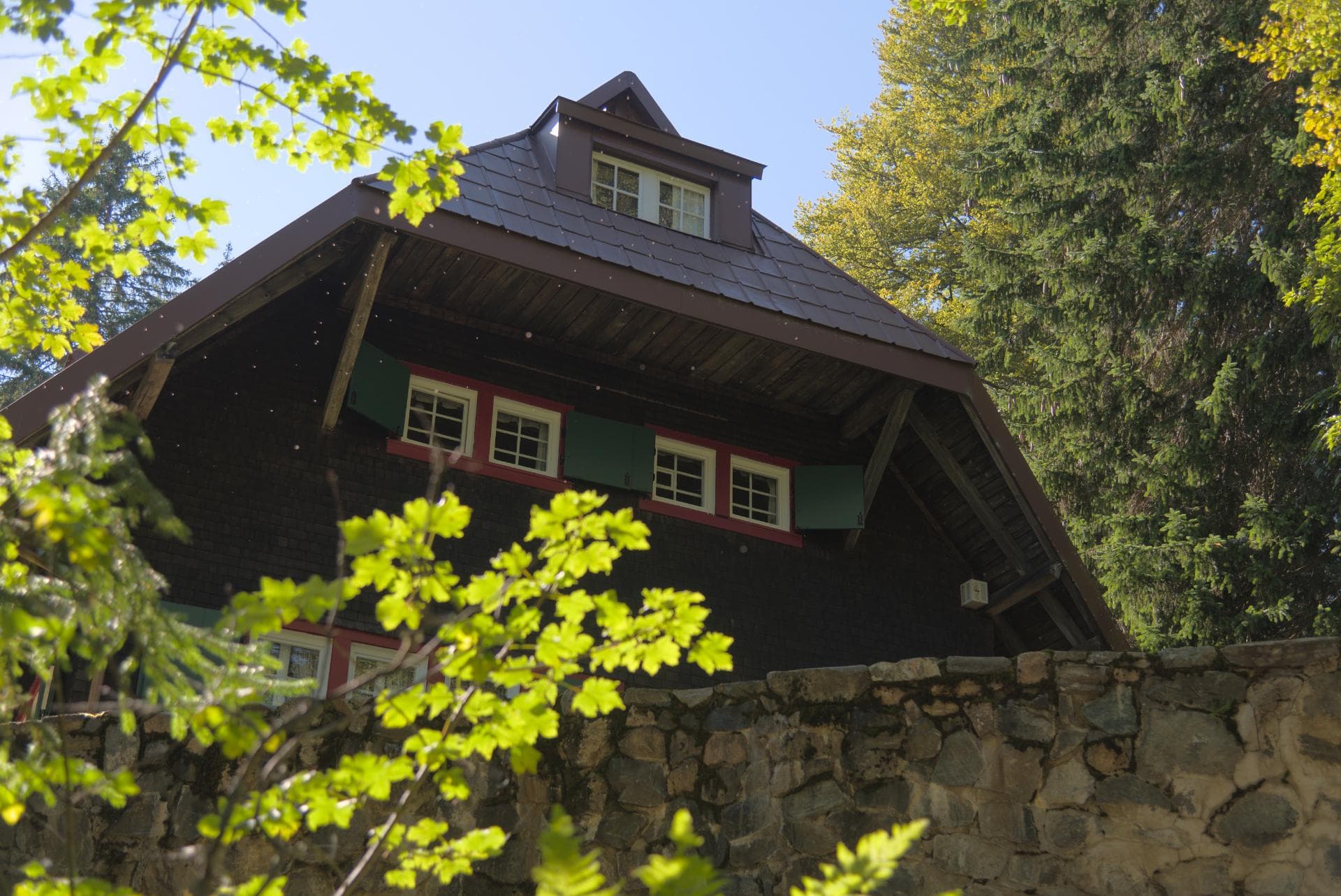 Frontansicht der Holzhütte im Sommer umgeben von Mischwald