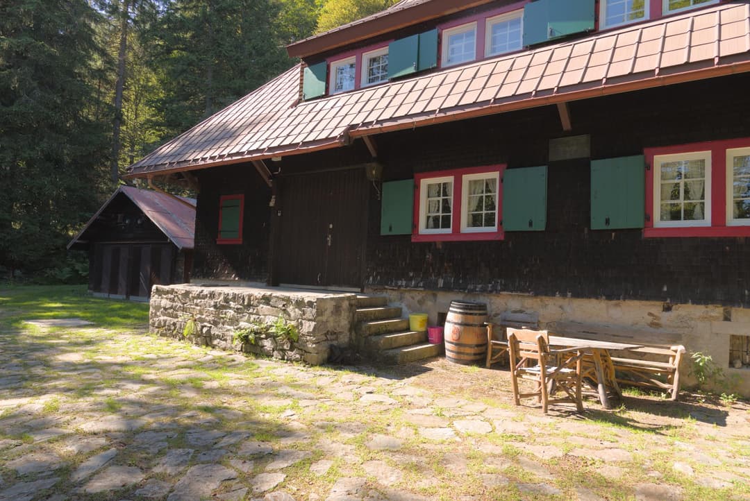 Haupteingang der Holzhütte mit Steintreppe und Gartenmöbeln